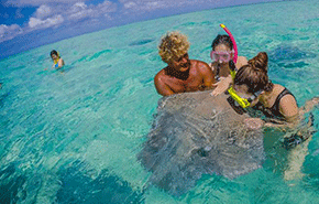 尊重经济规律，坚守长期主义，沃尔沃汽车携经销商直面竞争与转型